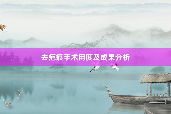 去疤痕手术用度及成果分析