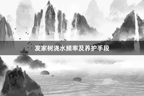 发家树浇水频率及养护手段