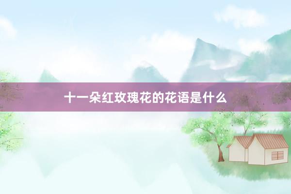 十一朵红玫瑰花的花语是什么