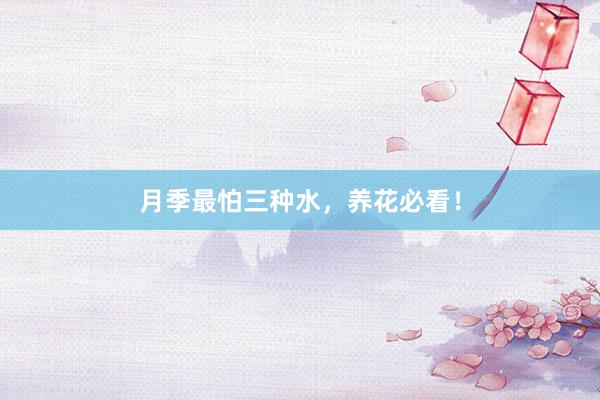 月季最怕三种水，养花必看！