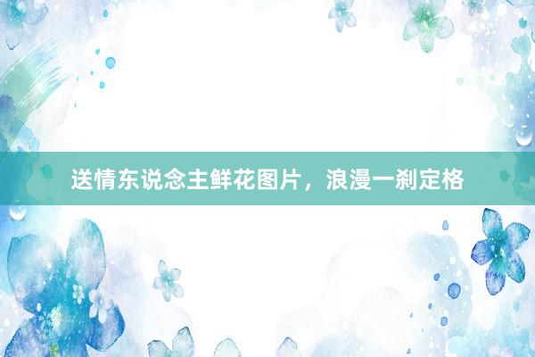 送情东说念主鲜花图片，浪漫一刹定格